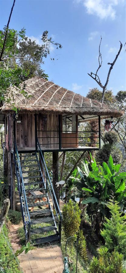 テッカディNoah'S Nest Tree Houseアパートメント エクステリア 写真