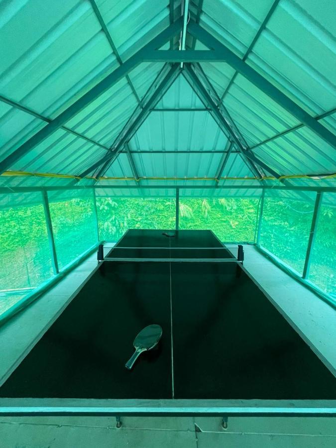 テッカディNoah'S Nest Tree Houseアパートメント エクステリア 写真