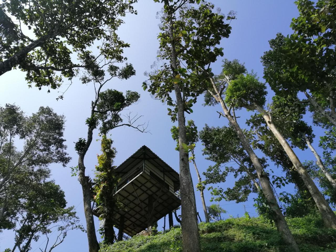 テッカディNoah'S Nest Tree Houseアパートメント エクステリア 写真