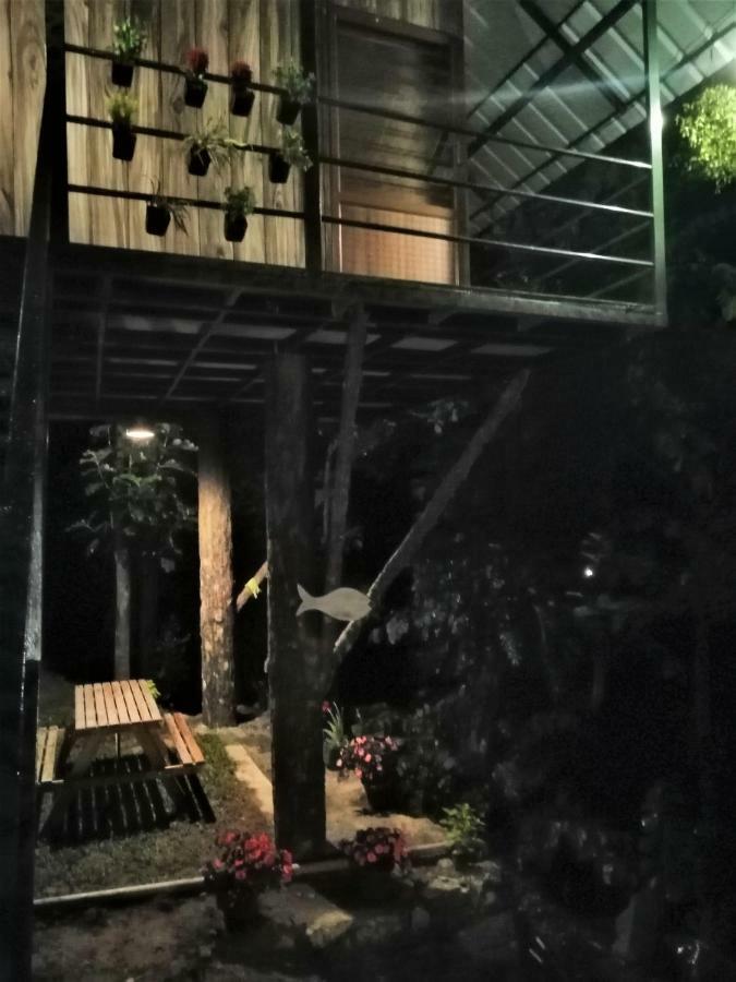 テッカディNoah'S Nest Tree Houseアパートメント エクステリア 写真